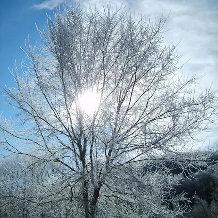Hébergement de vacances El Valle Perdido *